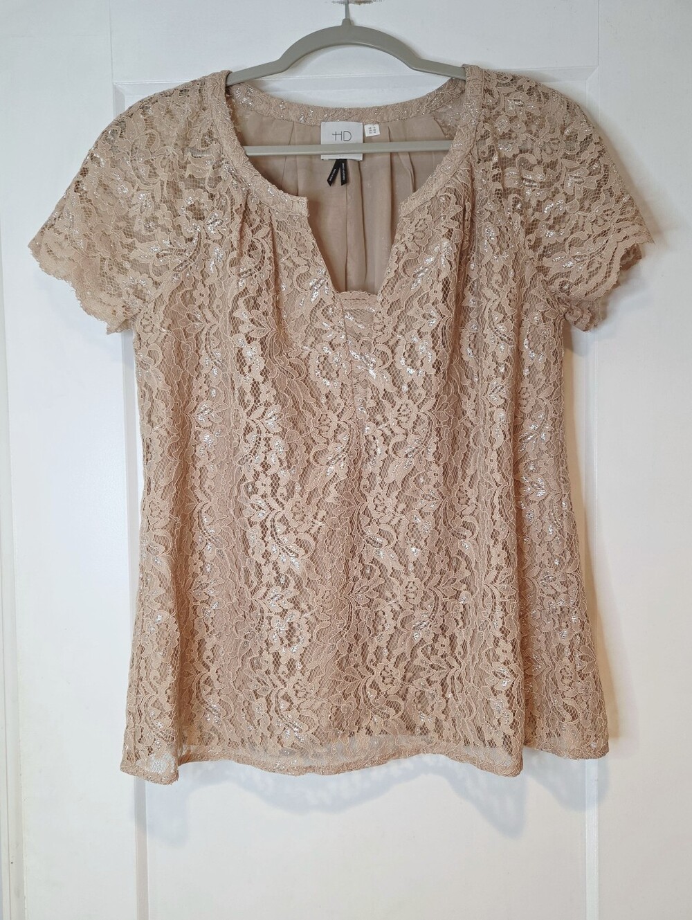 HD in Paris Nude Pink Lace Shimmer Top Size 8